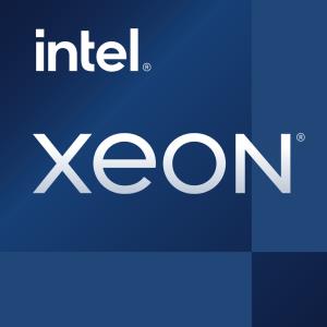 Xeon Processor E-2378g 2.80GHz 16MB Cache - Tray