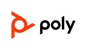 POLY PRO SVCS CONSULTING DAILY RATE DURING NORMAL BUSINESS HRS