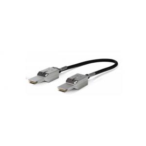 Type 4 Stacking Cable  50cm