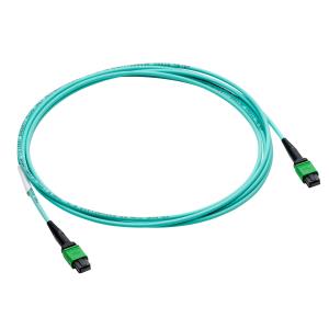 HPE IB NDR/EN MPO MPO MM 30M Cable